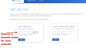 choosing-domain-name