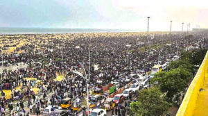 Jallikattu Protest in Marina Beach