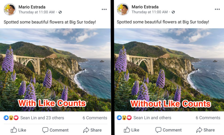 Facebook Hide Likes Sample Screenshot
